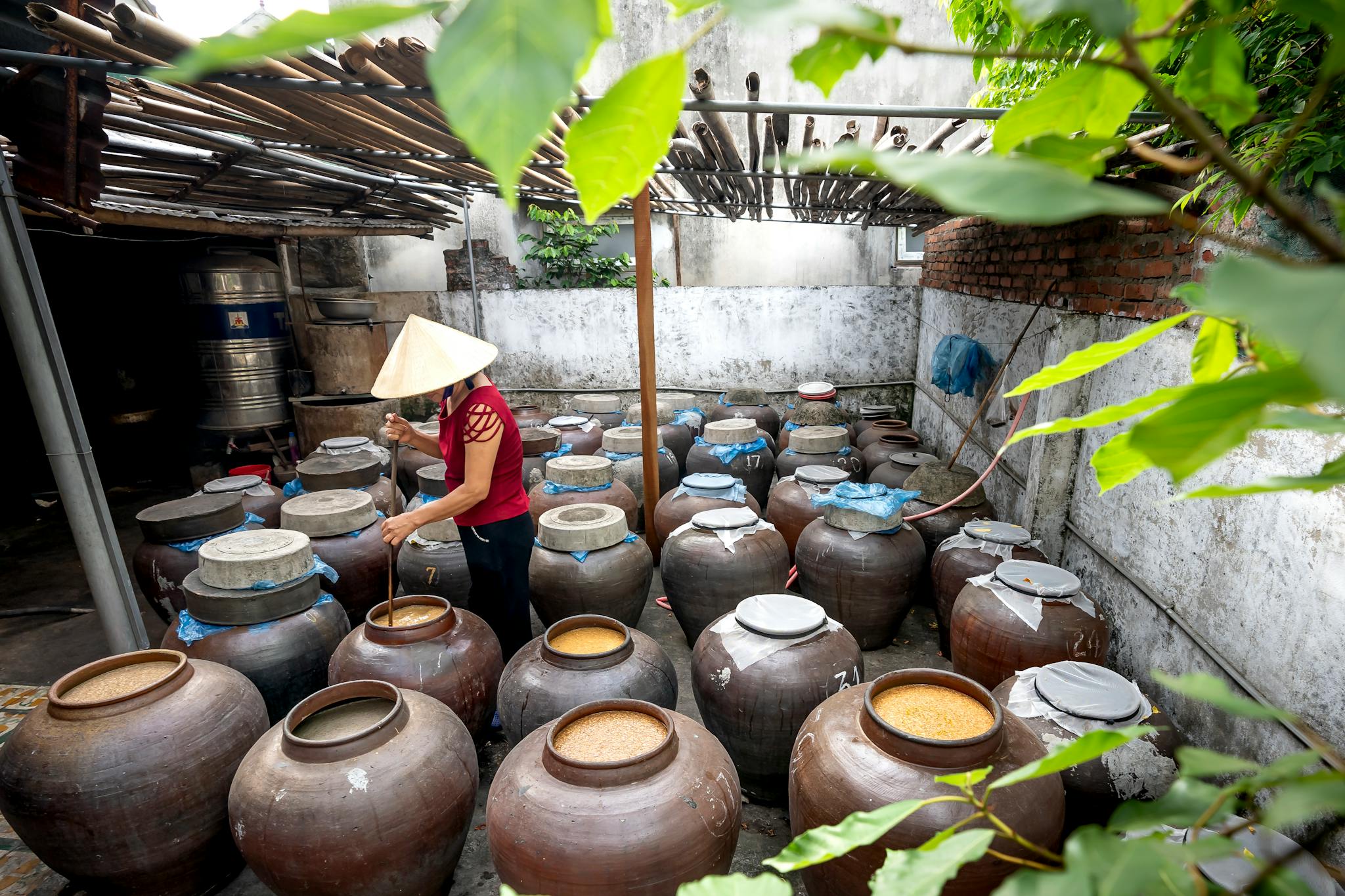 A person in a conical hat working in a traditional fermentation room with many jars.